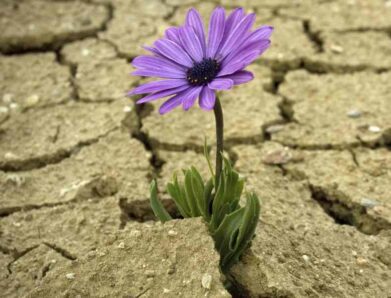 ΟΤΑΝ Η ΑΝΟΧΗ ΔΟΚΙΜΑΖΕΙ ΤΗΝ ΑΝΤΟΧΗ