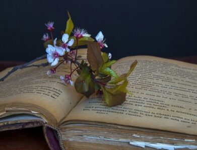 EKEBI: ΠΟΣΟ ΔΙΑΒΑΖΟΥΝ ΟΙ ΈΛΛΗΝΕΣ;