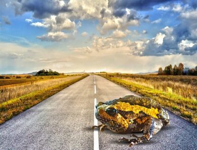 Ο ΑΙΜΑΤΗΡΟΣ ΠΟΛΕΜΟΣ ΤΗΣ ΑΣΦΑΛΤΟΥ