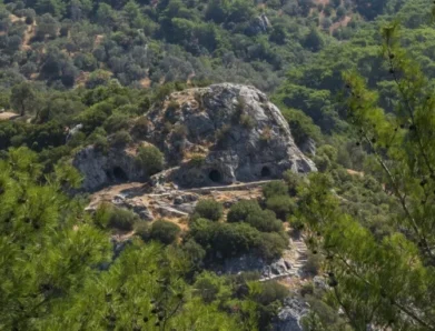 Η ΓΑΛΗΝΗ ΤΩΝ ΑΓΡΙΩΝ ΠΡΑΓΜΑΤΩΝ